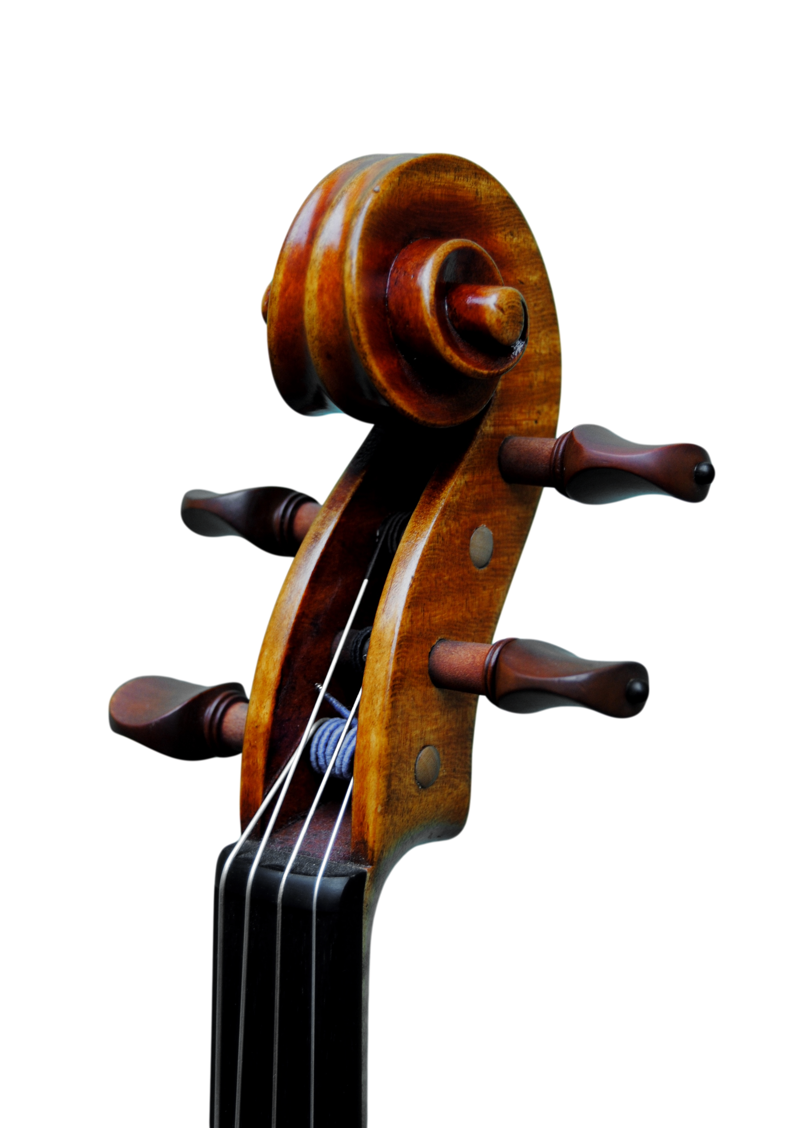 Viola 40,5cm - Linea Macchi, Cremona 2015