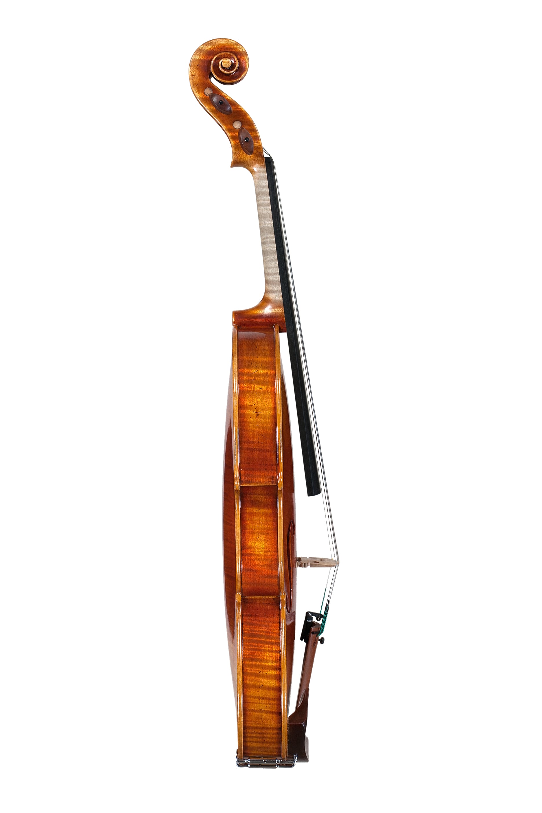 Violin - Linea Macchi, Stradivari