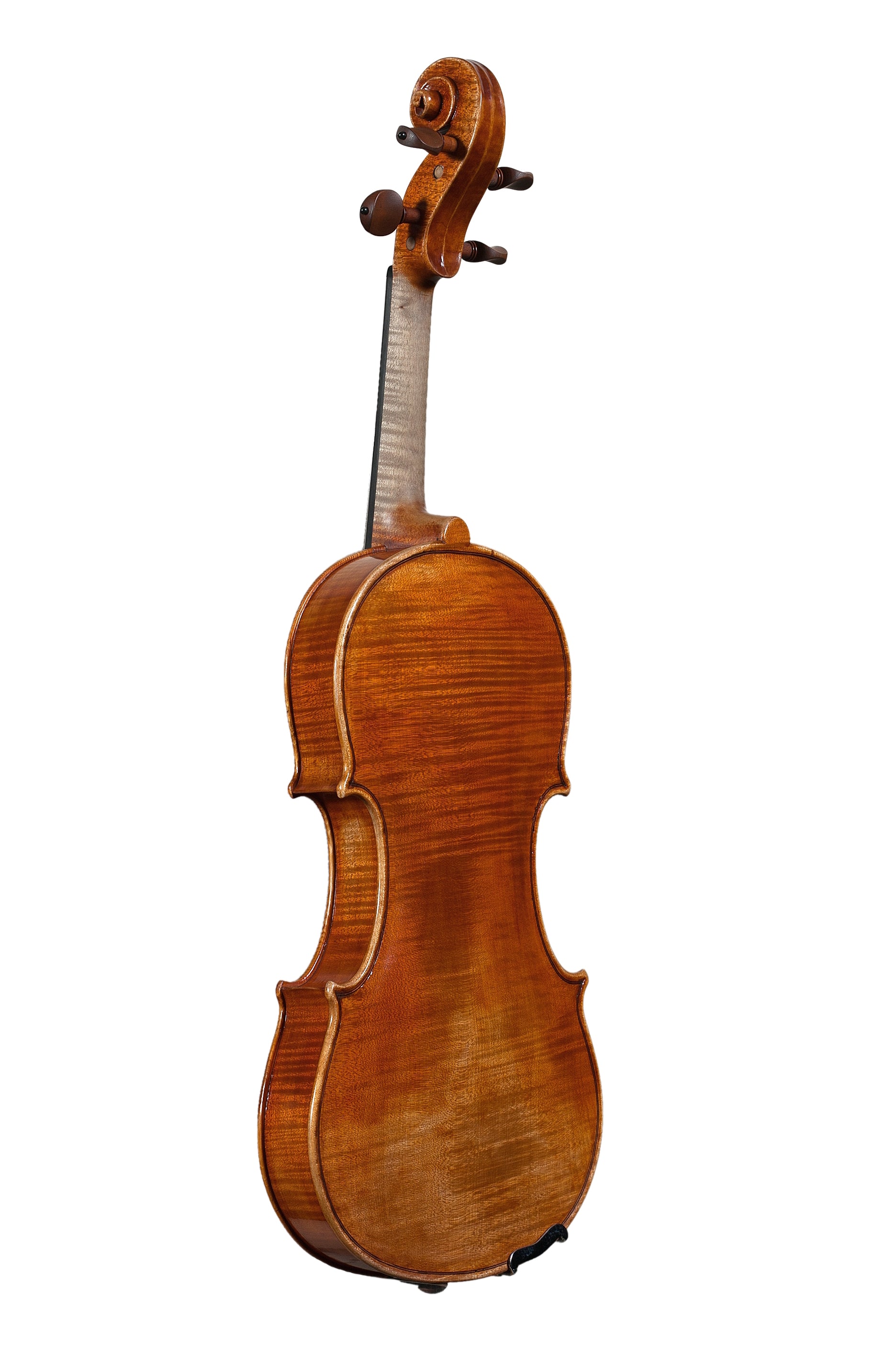 Violin - Linea Macchi, Guarneri "Ole Bull"