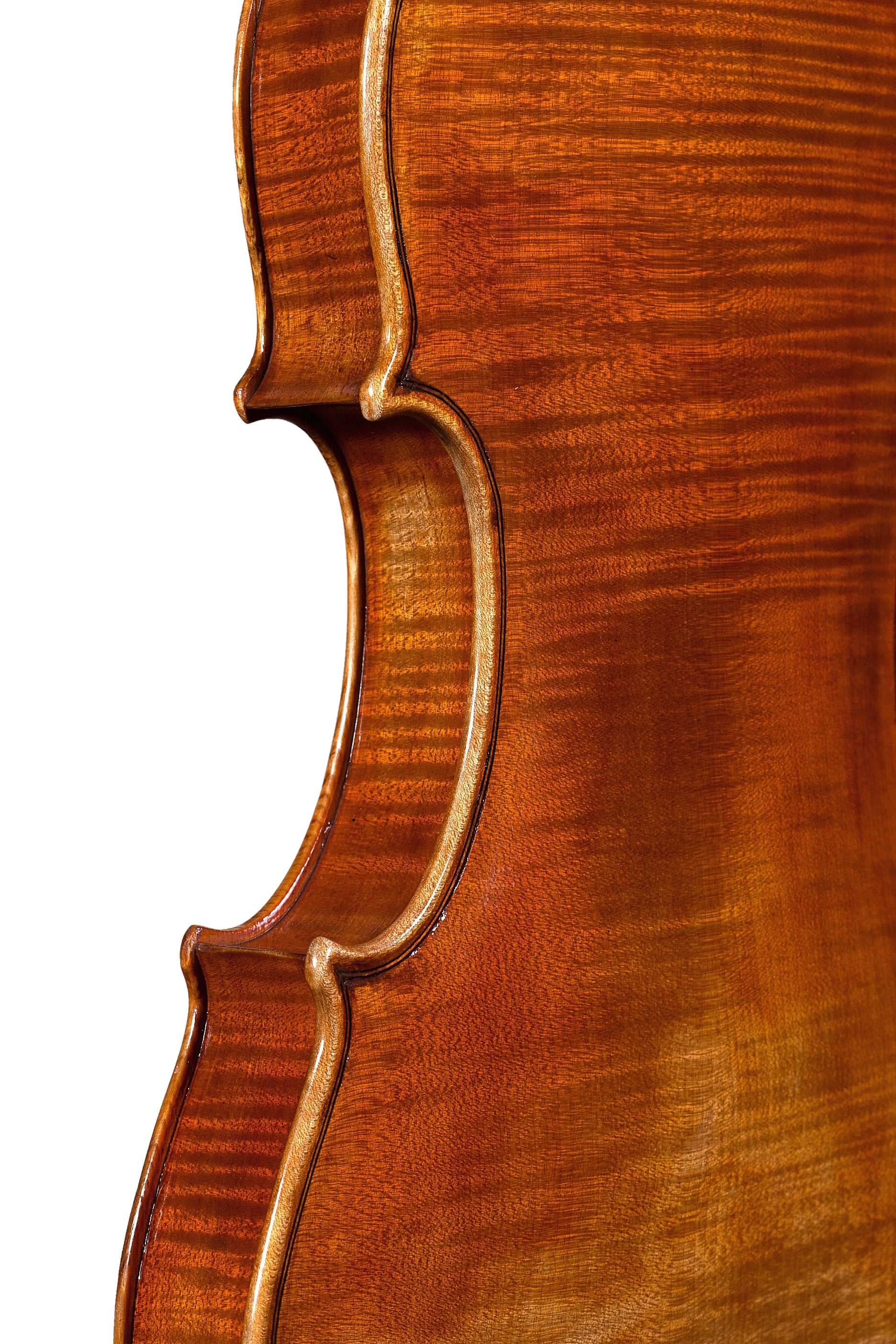 Violin - Linea Macchi, Guarneri "Ole Bull"