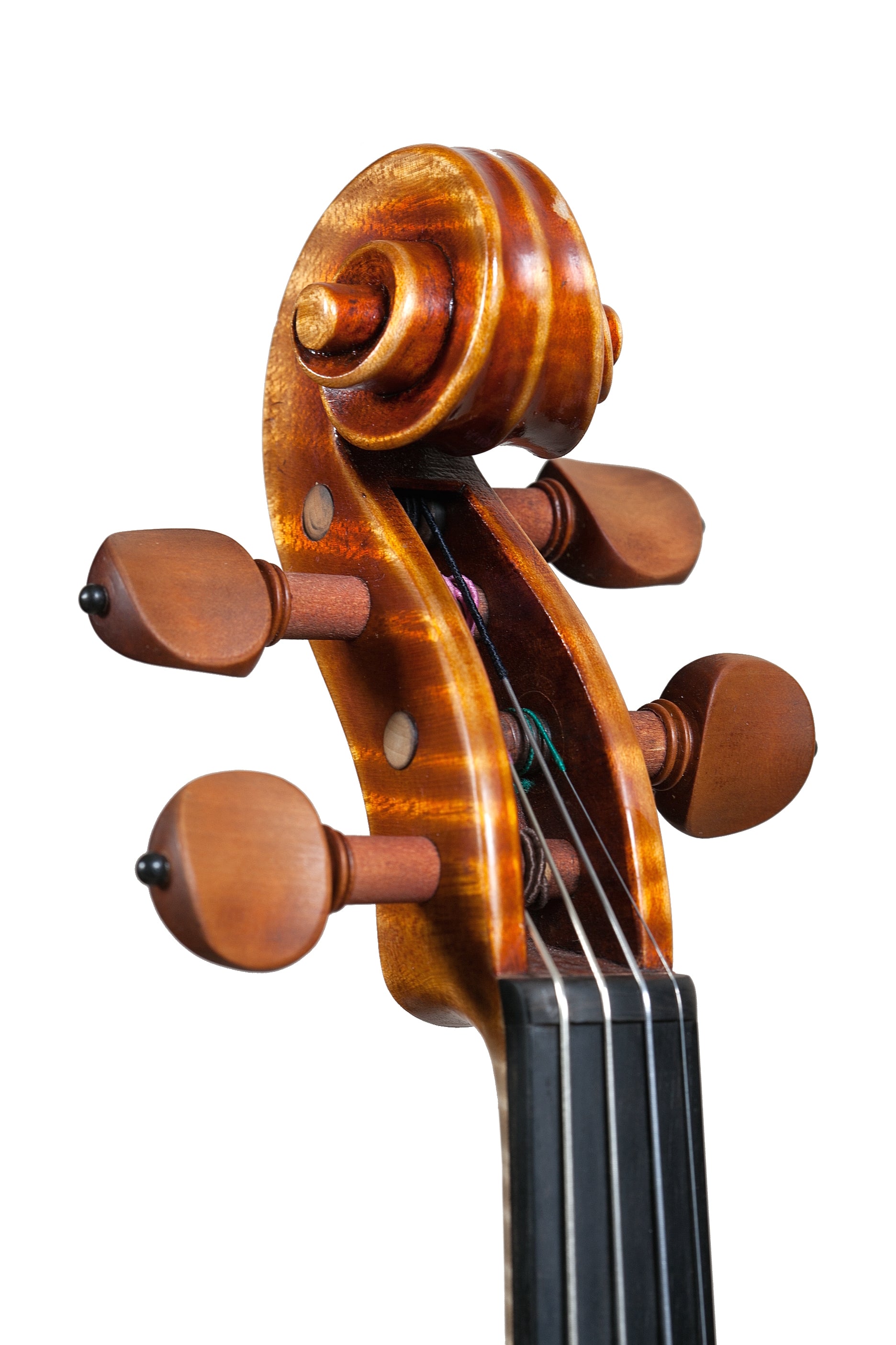 Violin - Linea Macchi, Stradivari