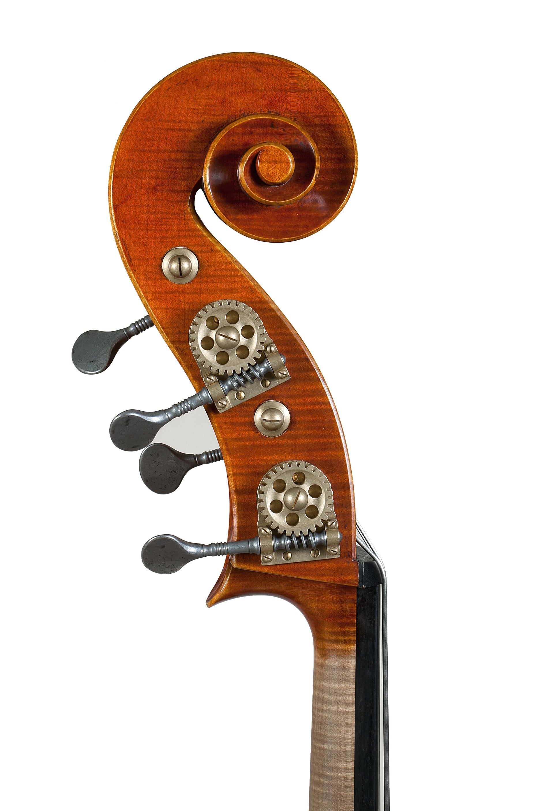 Doublebass - Linea Macchi