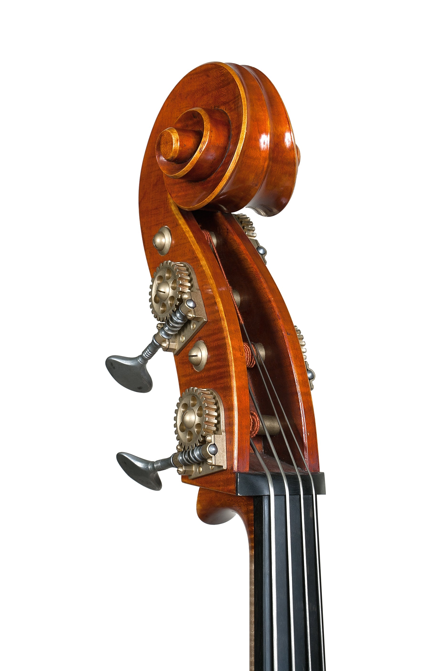 Doublebass - Linea Macchi