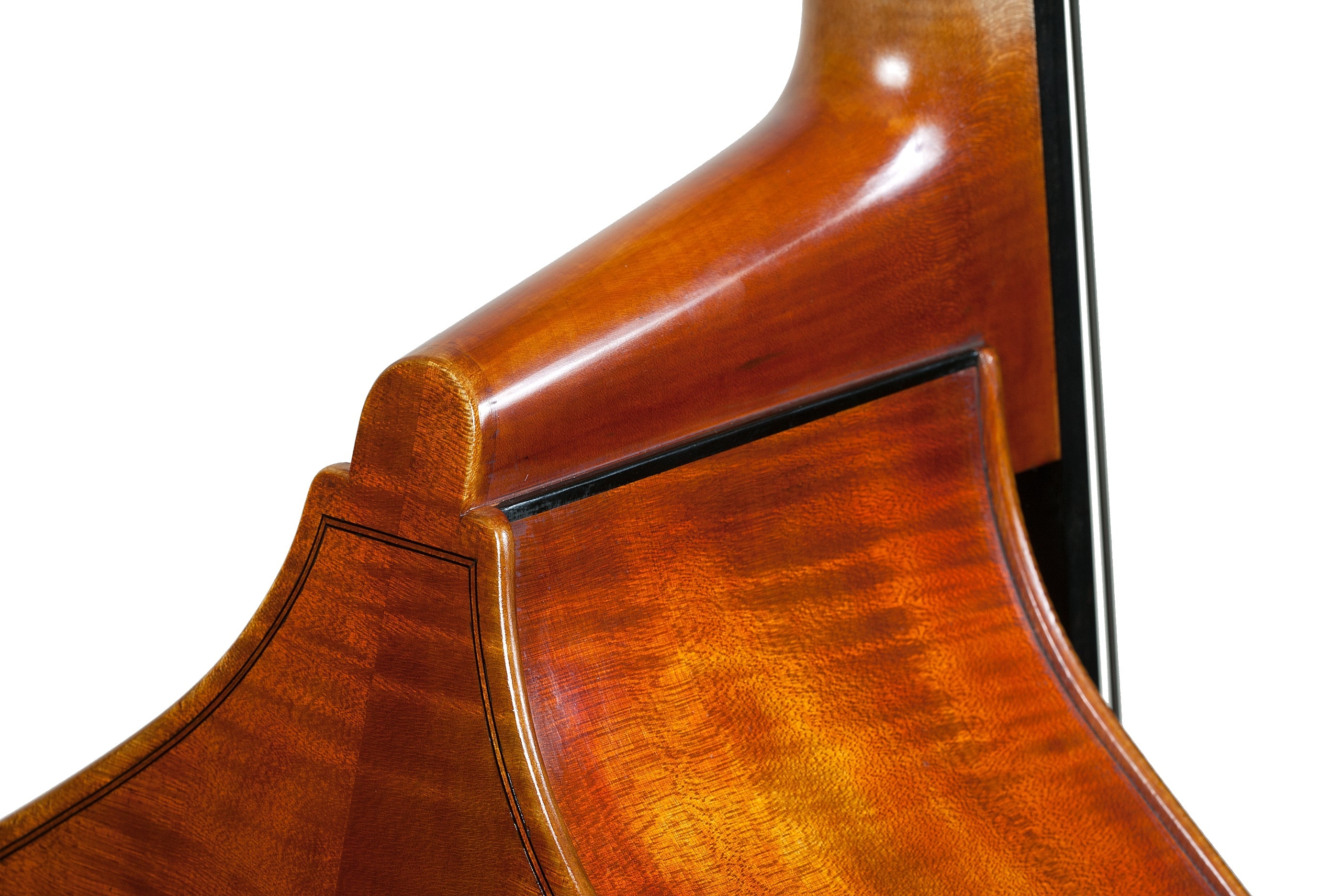 Doublebass - Linea Macchi