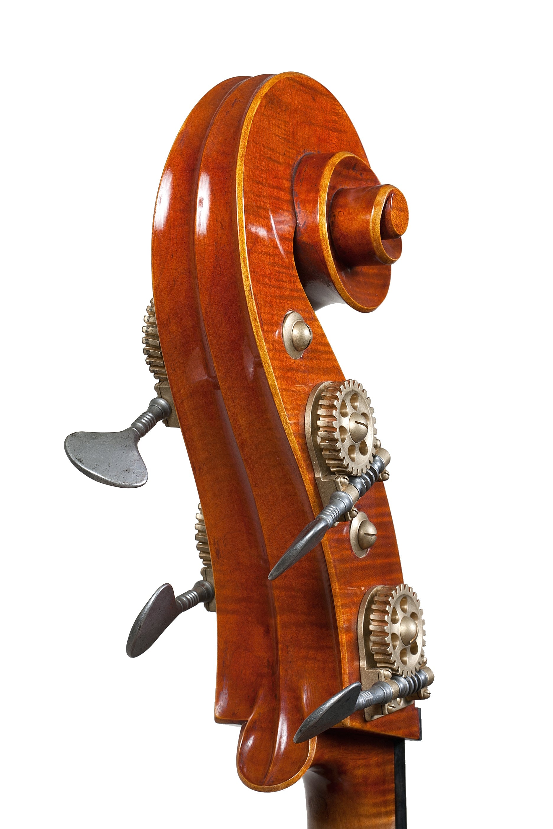 Doublebass - Linea Macchi