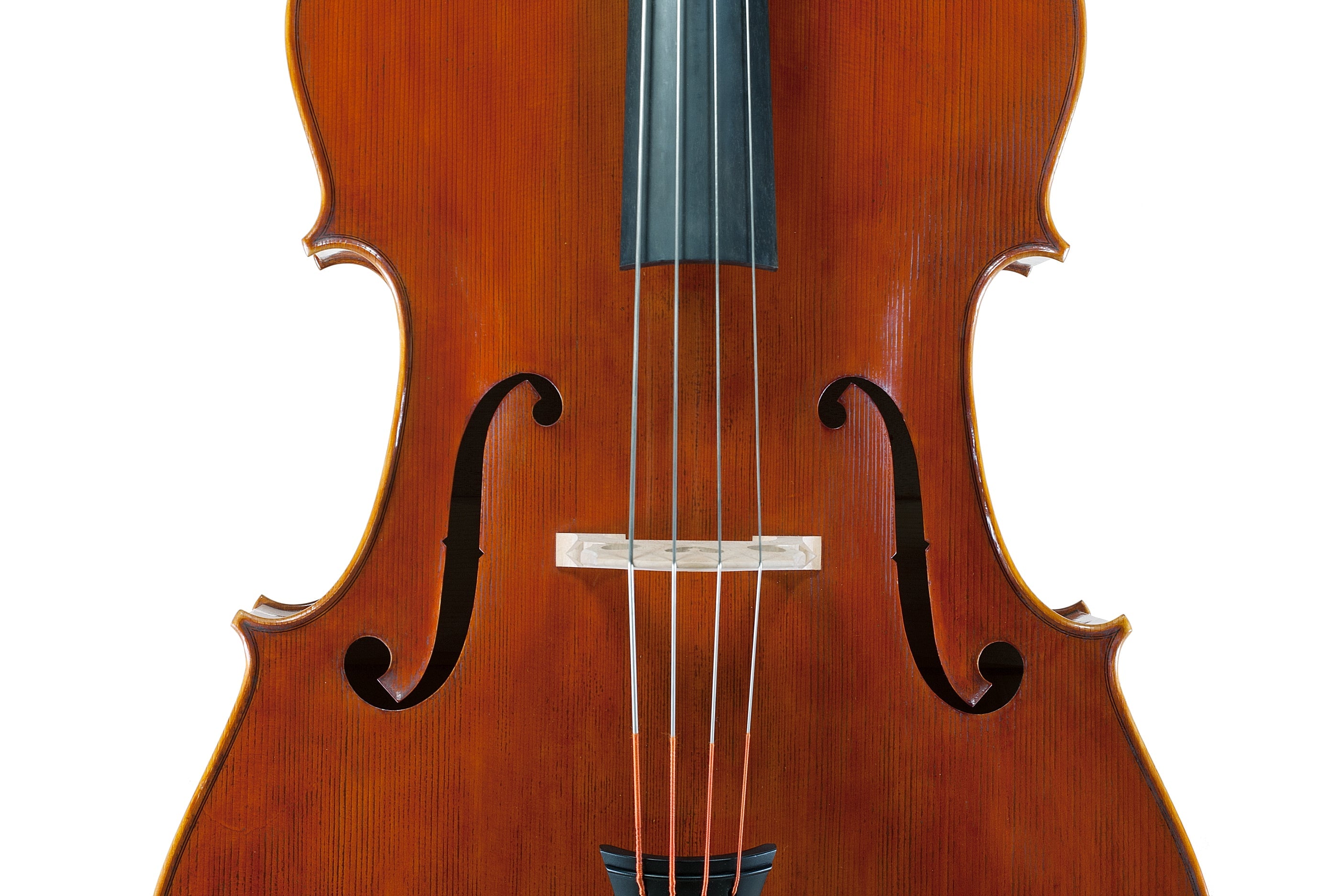 Doublebass - Linea Macchi