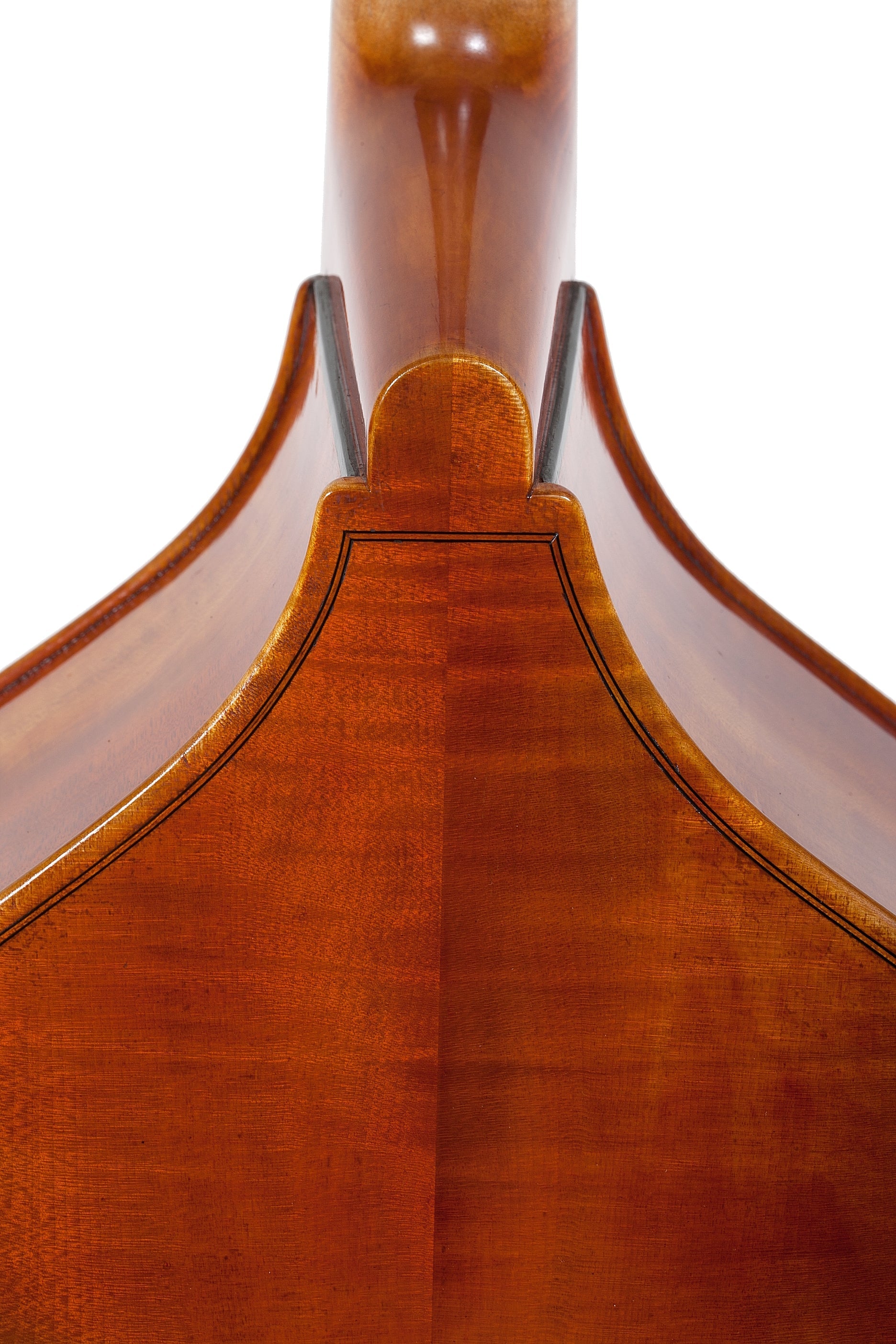 Doublebass - Linea Macchi