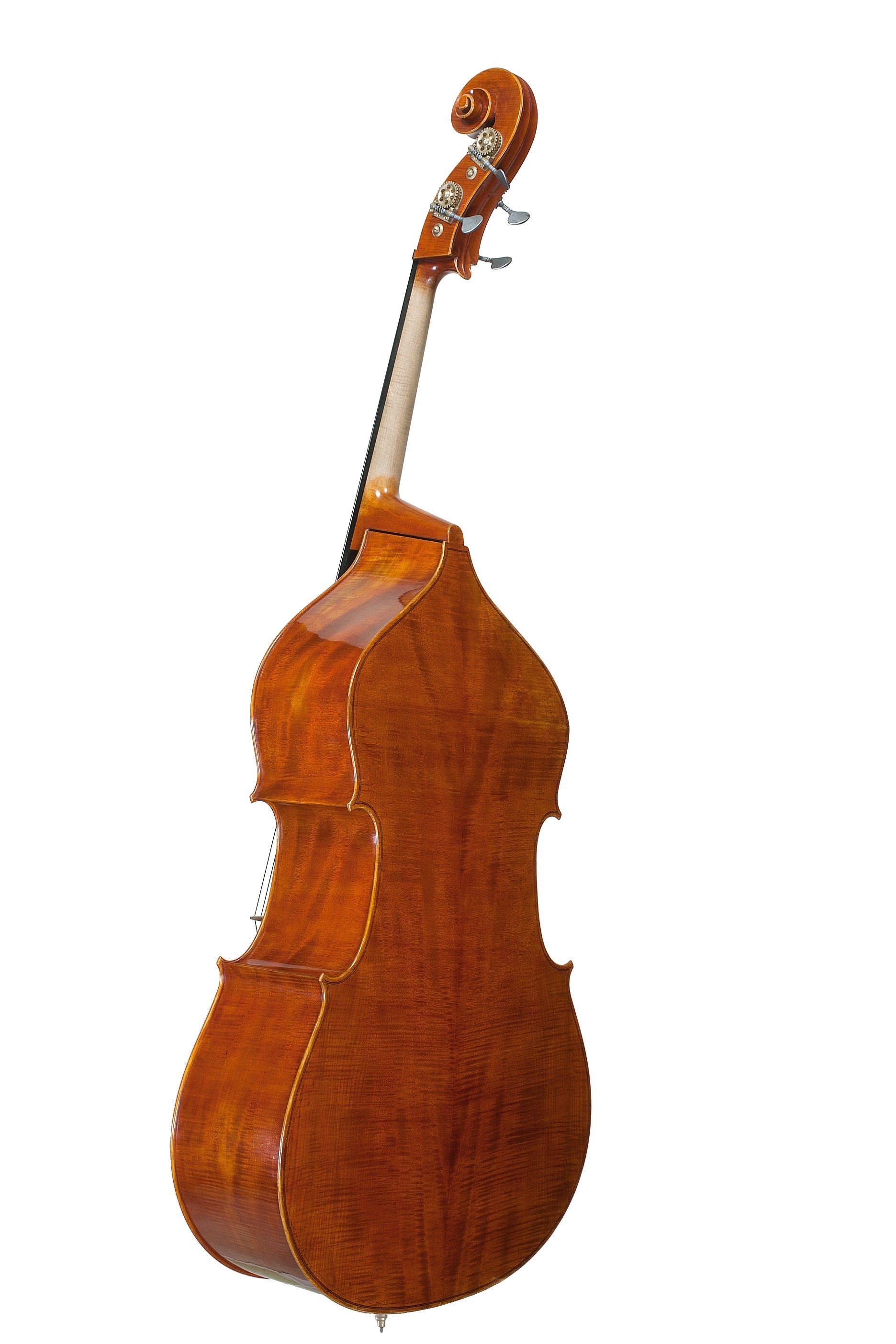 Doublebass - Linea Macchi