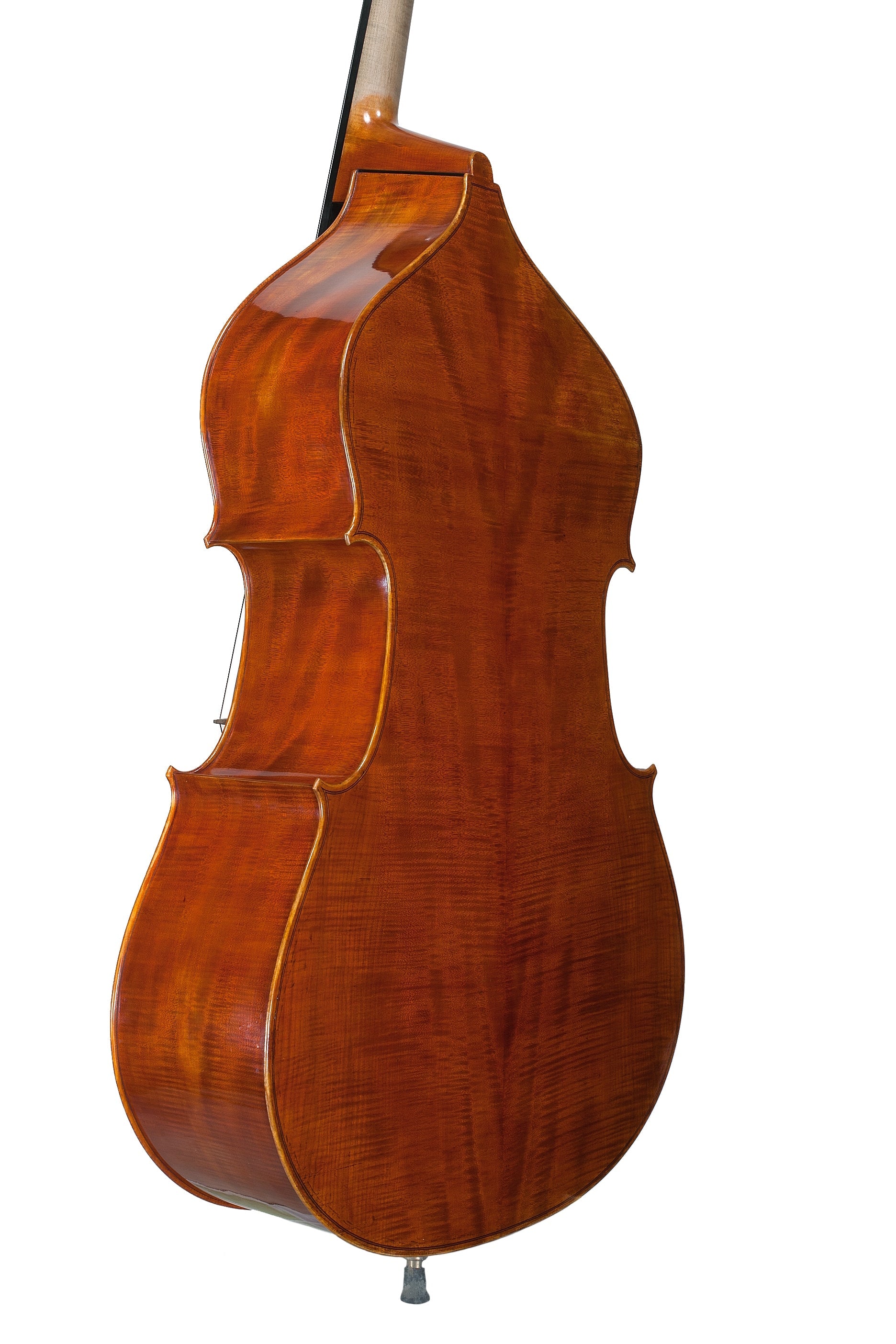 Doublebass - Linea Macchi