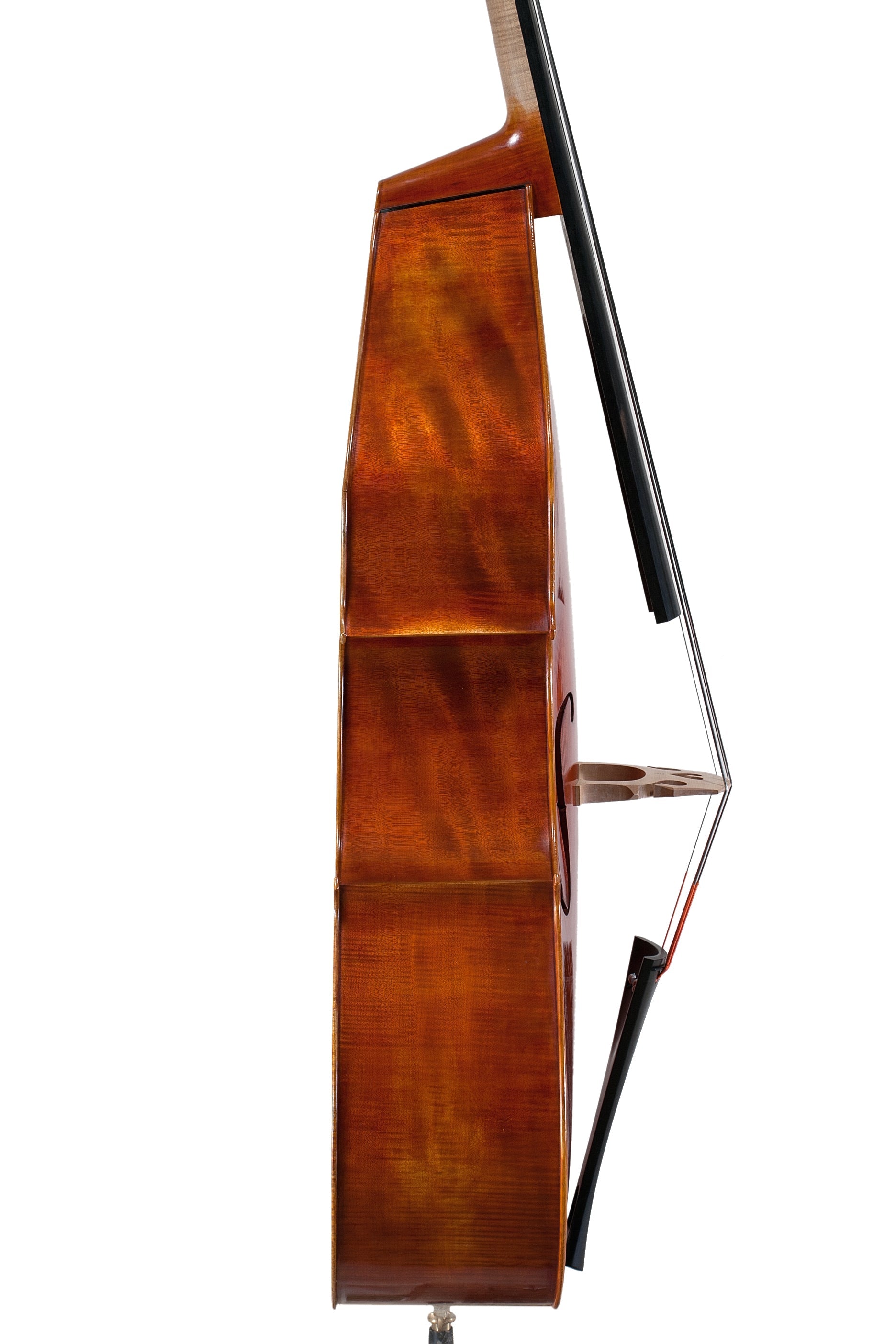 Doublebass - Linea Macchi