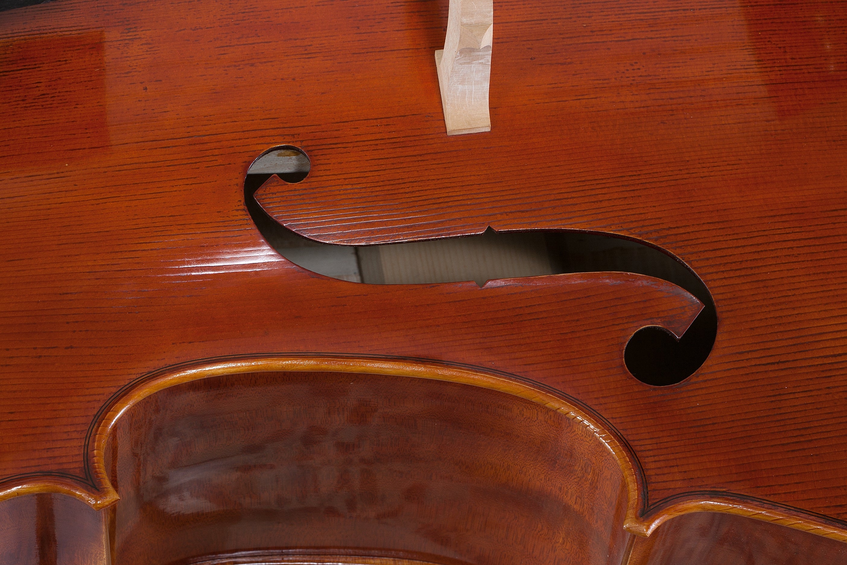 Doublebass - Linea Macchi