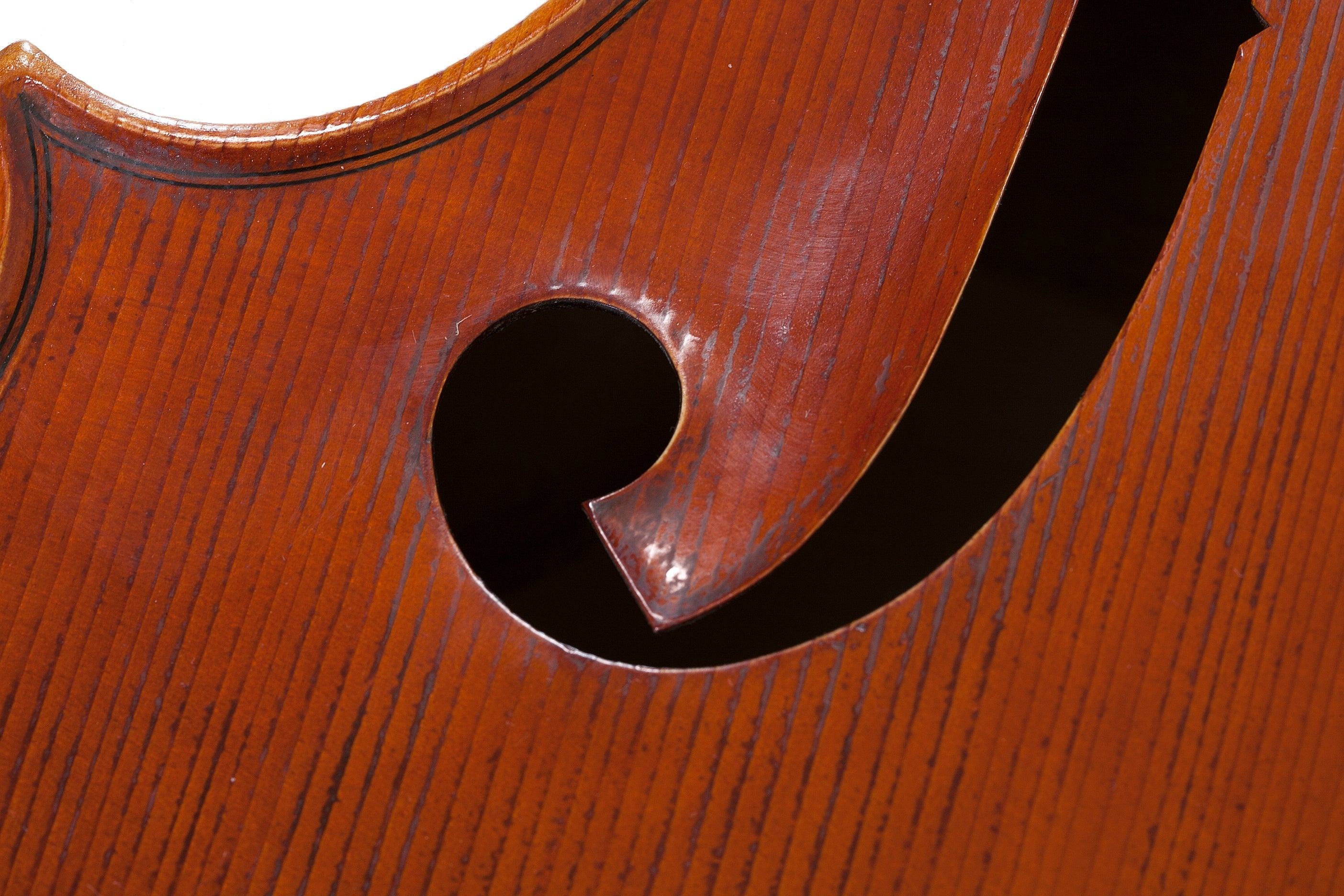 Doublebass - Linea Macchi