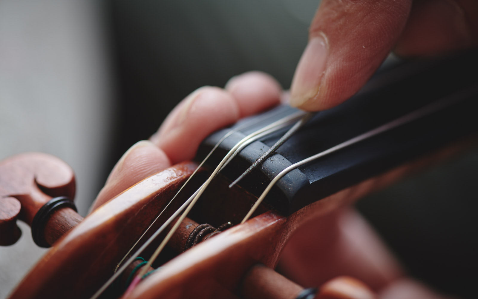 Edgar's Online Violinmaking Academy