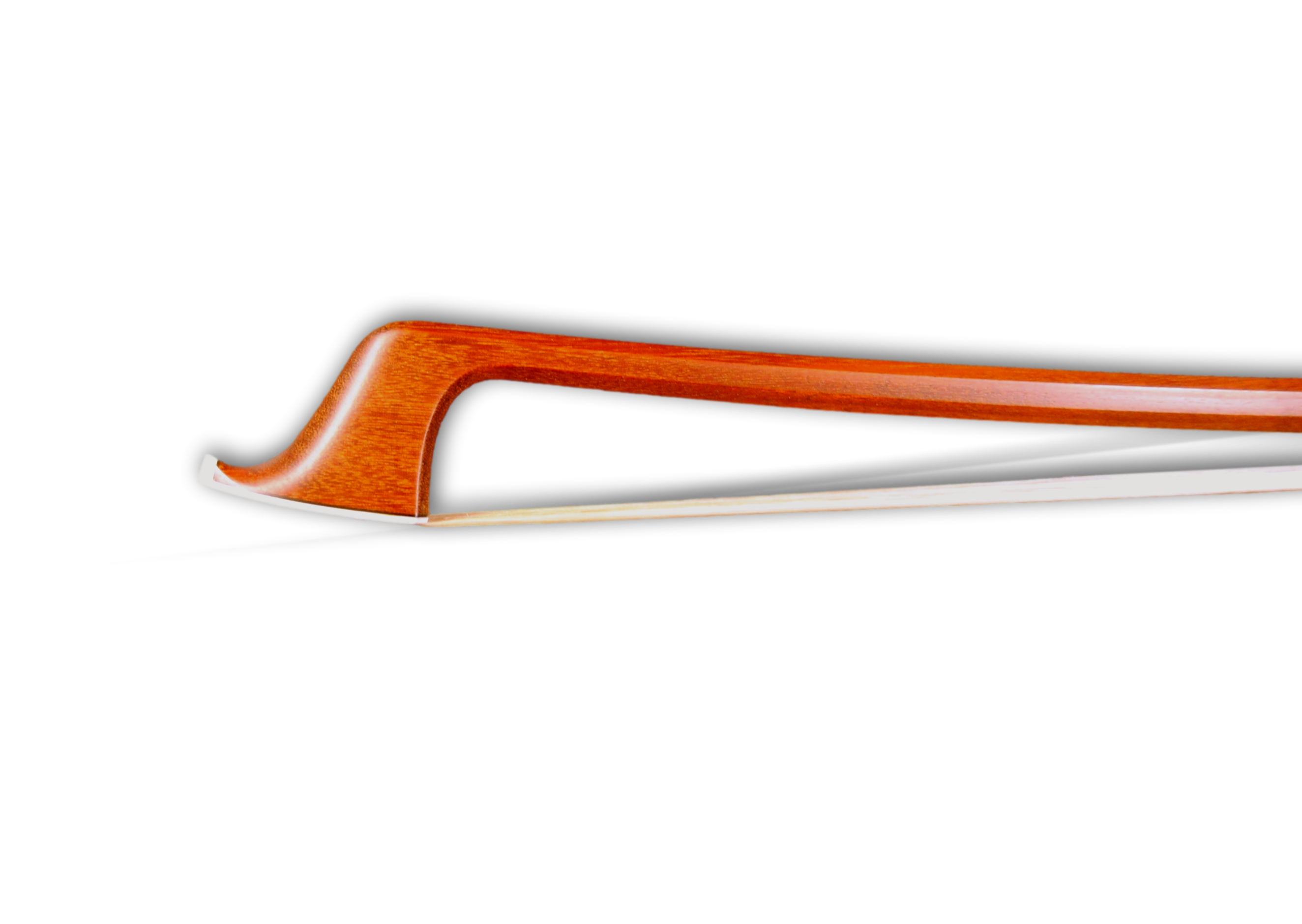 A vision of a violin's bow